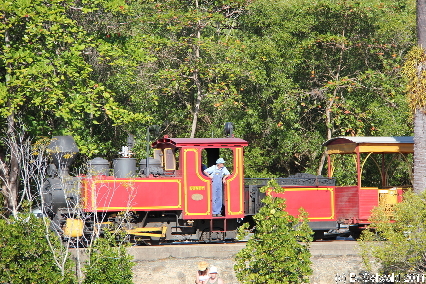 PORTDOUGLAS20110724 152720