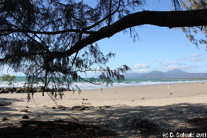 PORTDOUGLAS20110726 091218