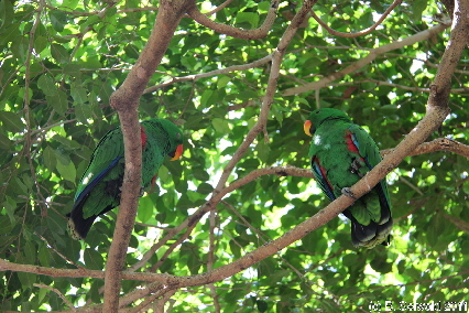 WILDLIFEHABITAT20110728 113547