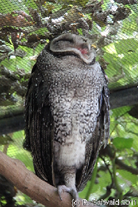 WILDLIFEHABITAT20110728 114334
