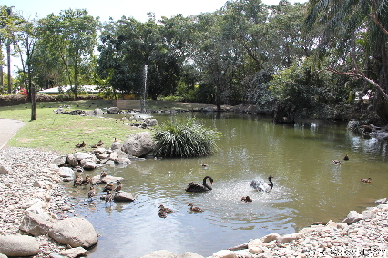 WILDLIFEHABITAT20110728 121211