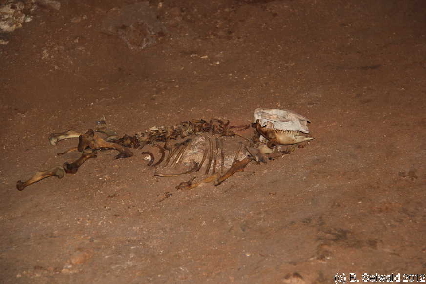 JENOLANCAVES20120428 130046