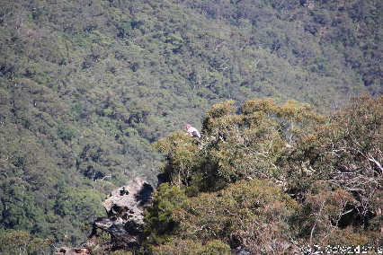 KATOOMBA20120427 122533