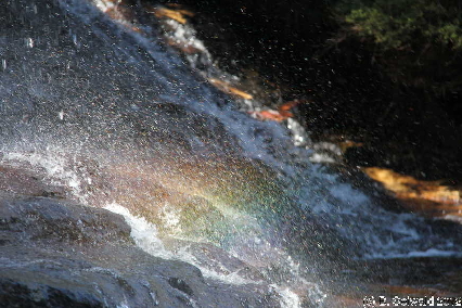 KATOOMBA20120427 125334