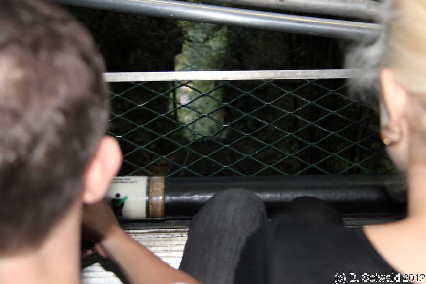 KATOOMBA20120427 163535