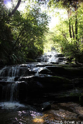 KATOOMBA20120429 100243