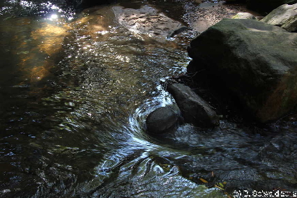KATOOMBA20120429 100334