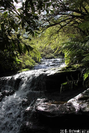 KATOOMBA20120429 100622
