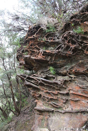 KATOOMBA20120429 110437