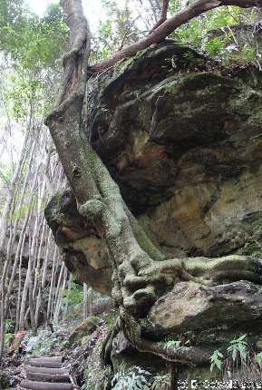 KATOOMBA20120429 112035