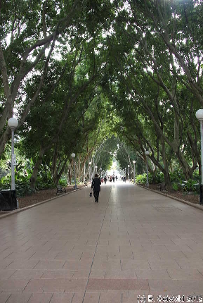 SYDNEY20120430 102457