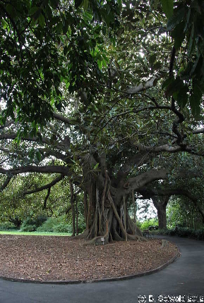 SYDNEY20120430 111721