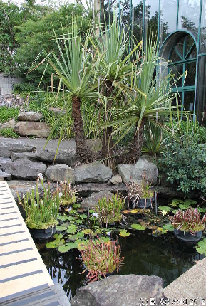 SYDNEY20120430 112506