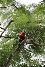SYDNEY20120430-112942