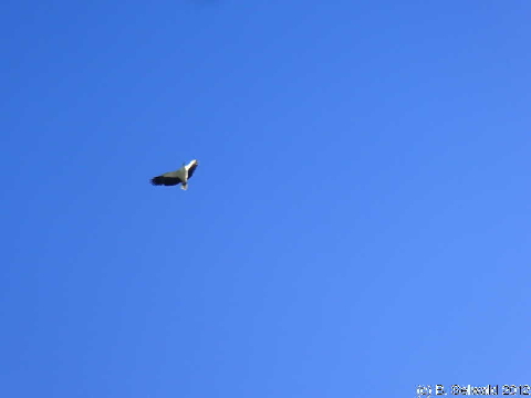 LMI 20120719 083932
