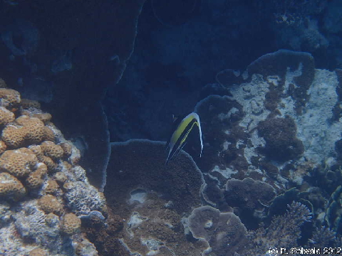 LMI 20120719 105426