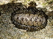 LMI-20120712-104156