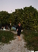 LMI-20120719-173253