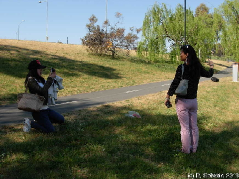 LeiFarewellBBQ20131020 154423