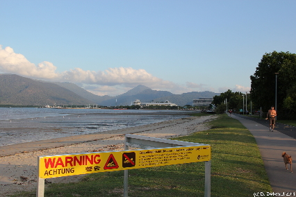 MAGNETICISLAND20111111 183903