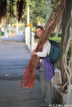 MAGNETICISLAND20111112 065902