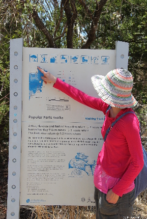 MAGNETICISLAND20111113 111838