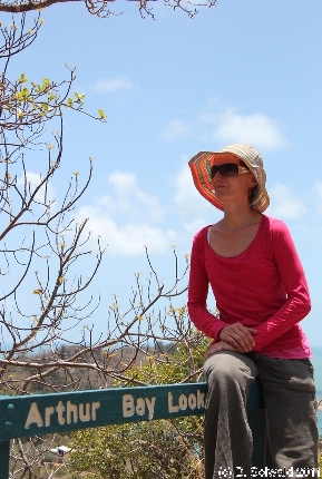 MAGNETICISLAND20111113 112810
