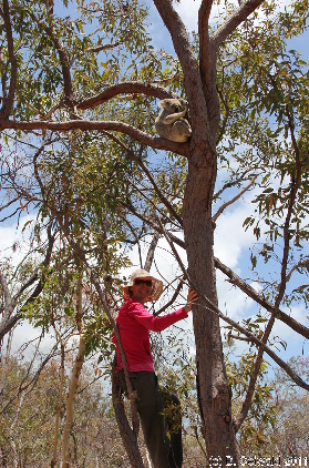 MAGNETICISLAND20111113 114952