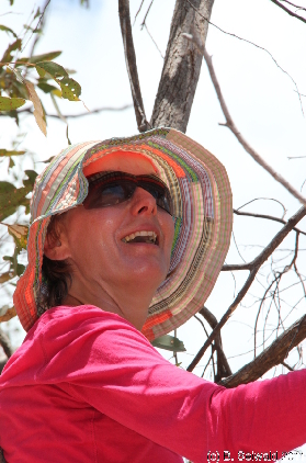 MAGNETICISLAND20111113 114958