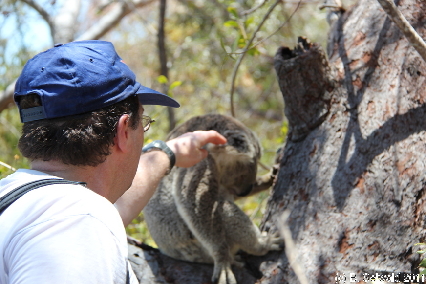 MAGNETICISLAND20111113 120107