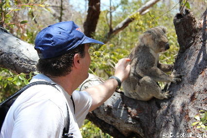 MAGNETICISLAND20111113 120131