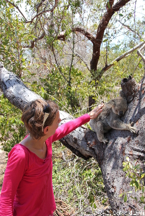 MAGNETICISLAND20111113 120223