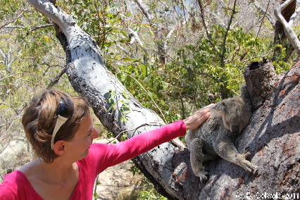 MAGNETICISLAND20111113 120241