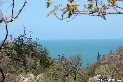 MAGNETICISLAND20111113 140131