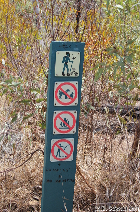 MAGNETICISLAND20111114 112807