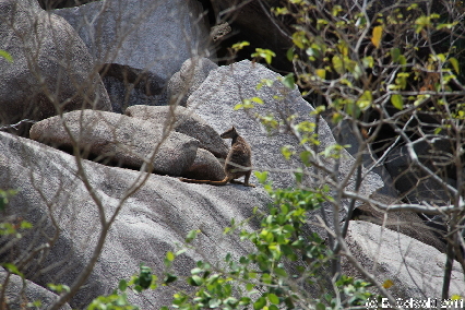MAGNETICISLAND20111114 125002