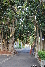 MAGNETICISLAND20111112-065850