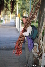 MAGNETICISLAND20111112-065902