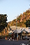 MAGNETICISLAND20111113-180054