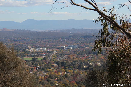 MAJURA20130511 131244