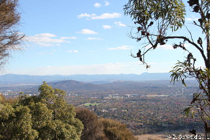 MAJURA20130511 144405