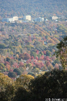 MAJURA20130511 151631
