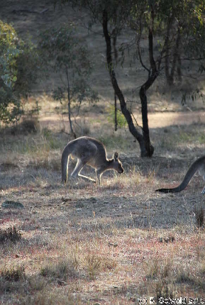 MAJURA20130511 154717