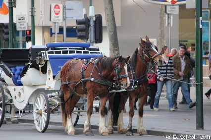 MELBOURNE20110702 112659