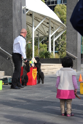 MELBOURNE20110702 120453