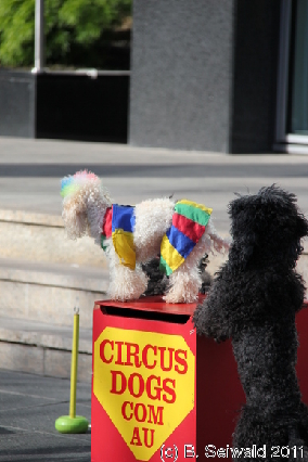 MELBOURNE20110702 120642