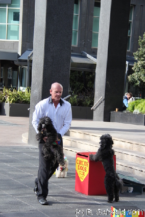 MELBOURNE20110702 120811