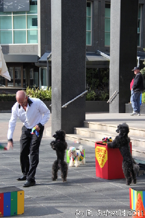 MELBOURNE20110702 120834