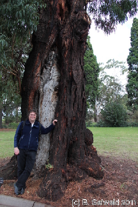 MELBOURNE20110704 130402