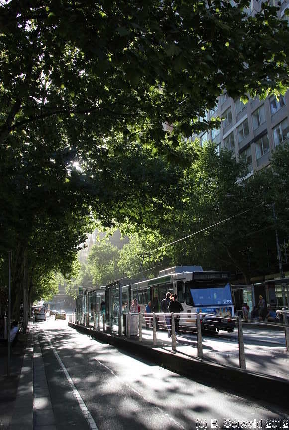 MELBOURNE20111228 185052